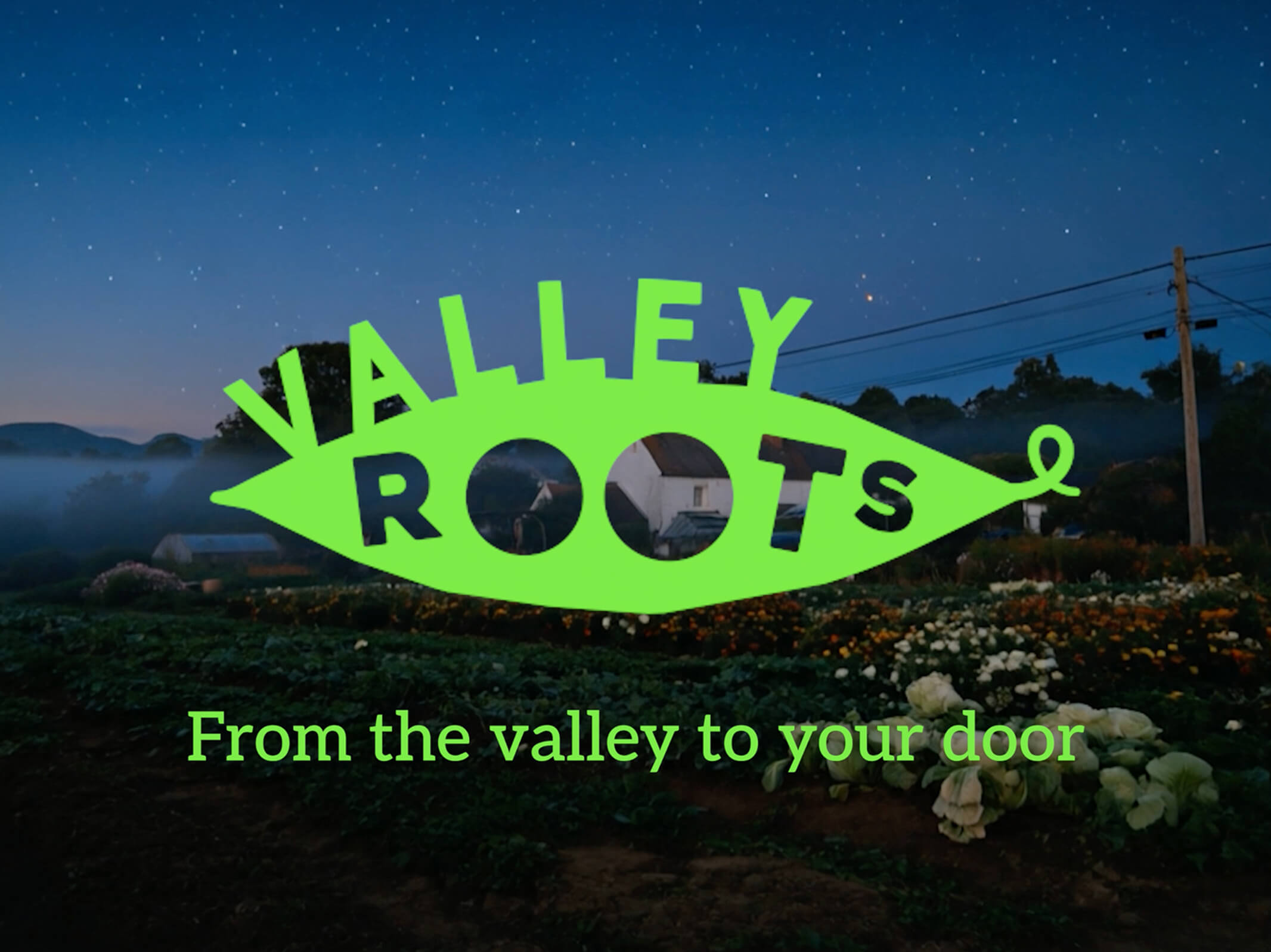 Valley Roots